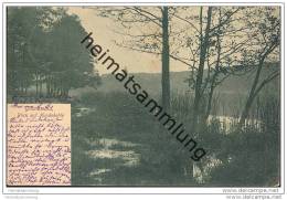 Berlin-Grunewald - Blick Auf Hundekehle - Grunewald