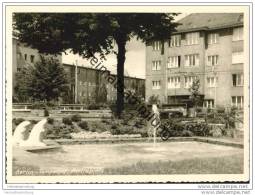 Berlin-Tempelhof - Attilaplatz - Biberbrunnen - Foto-AK Grossformat 60er Jahre - Tempelhof