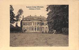 Leuze-Long Champs - Château D'Ostin (animée) - Eghezée