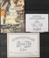 3 ETIQUETTES Différentes De VIN - BUZET - En Parfait Etat - Lots & Sammlungen