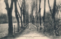 CPA 85 FONTENAY LE COMTE Institution Jeanne D'Arc Une Allée Du Bois - Fontenay Le Comte