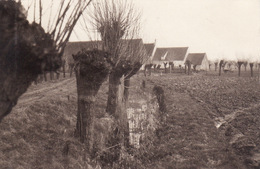 Photo 1915 DAMME - Une Vue (A196, Ww1, Wk 1) - Damme