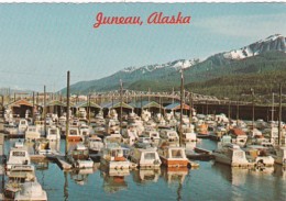 Alaska Juneau Harbor Scene With Sports Fishing Boats - Juneau