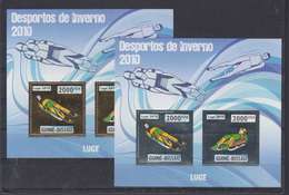 GUINEE BISSAU GUINE 2010 - WINTER OLYMPIC SPORT GAMES VANCOUVER CANADA - LUGE LUGEN - GOLD + SILVER - RARE MNH - Winter 2010: Vancouver