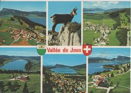 Vallee De Joux - Le Lieu, Chamois, Le Brassus, Le Sentier, Les Bioux - Photo: A. Deriaz - Le Lieu