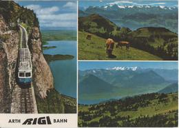 Arth Rigi Bahn - ARB An Der Kräbelwand, Blick Vom Rigi Auf Urner, Unterwaldner Und Berner Alpen - Arth
