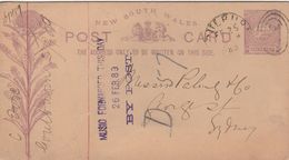 Nouvelle Galles Du Sud Entier Postal Illustré 1889 - Storia Postale