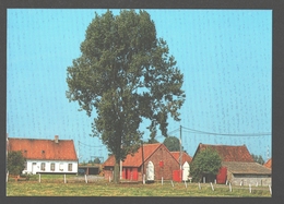 Deerlijk - Hoeve Oudenaardse Heerweg - Nieuwstaat - Deerlijk