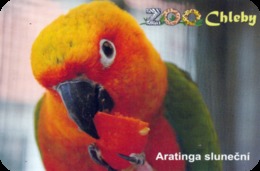 Zoo Chleby (CZ) - Conure - Animaux & Faune