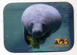 ZOO Wroclaw (PL) - Manatee - Animaux & Faune