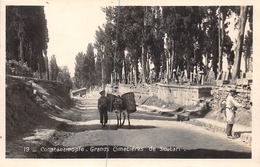 ¤¤    -  TURQUIE   -   CONSTANTINOPLE   -  Carte-Photo  -  Grands Cimetièred De Scutari     -   ¤¤ - Turquie