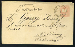 96110 RÁCPETRE 1883. Díjjegyes Boríték Nagyabonyba Küldve - Used Stamps