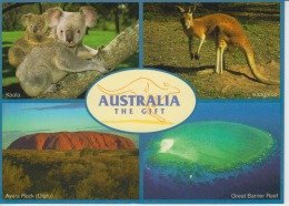 Australia Alice Springs Ayers Rock Uluru Great Barrier Reef Uncirculated Postcard (ask For Verso / Demander Le Verso) - Alice Springs