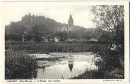 Vignory L'Etang Aux Carpes - Vignory