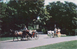 Canada > Quebec, Carriage, Caleche, Obliteree - Saguenay