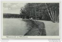 Berlin-Zehlendorf - Schlachtensee - Uferpromenade Ca. 1935 - Zehlendorf