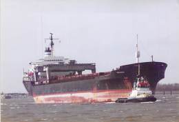 " IONIAN BREEZE " PORTE CONTAINER CARRIER DOOR Tugboat Schlepper Sleepboot - PHOTO 1980-2001 - Cargo Commerce Merchant - Commerce