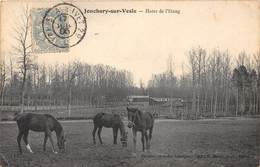 51-JONCHERY-SUR-VESLE- HARAS DE L'ETANG - Jonchery-sur-Vesle