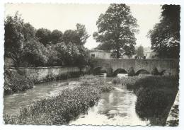 CPSM CHATILLON SUR SEINE, LA SEINE AU PONT DES GRILLES, COTE D'OR 21 - Chatillon Sur Seine