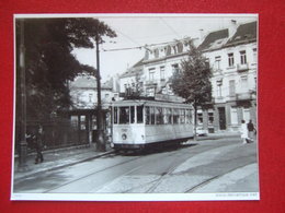 BELGIQUE - BRUXELLES - PHOTO 13.5 X 10 - TRAM - TRAMWAY - LIGNE 31 ... - Public Transport (surface)