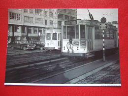 BELGIQUE - BRUXELLES -  ANVERS  PHOTO 15 X 10 - TRAM - TRAMWAY - LIGNE  102 - ZUID - - Public Transport (surface)