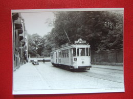 BELGIQUE - BRUXELLES -  ANVERS  PHOTO 13.5 X 10 - TRAM - TRAMWAY - LIGNE  74 - PORTE DE TERWREN - - Public Transport (surface)