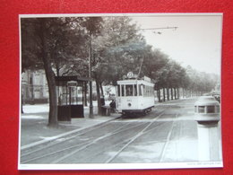 BELGIQUE - BRUXELLES -  ANVERS  PHOTO 15 X 10 - TRAM - TRAMWAY - LIGNE 23 - - Public Transport (surface)