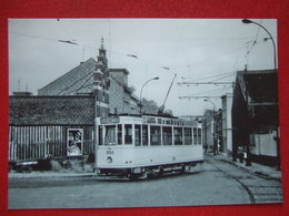 BELGIQUE - BRUXELLES - PHOTO 14.2 X 10 - TRAM - TRAMWAY - LIGNE 88 - - Public Transport (surface)