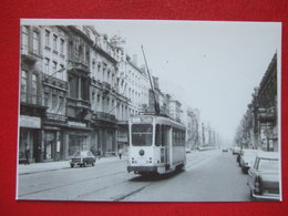 BELGIQUE - BRUXELLES - PHOTO 15 X 10 - TRAM - TRAMWAY - LIGNE 81 - BD LEMONNIER - - Public Transport (surface)