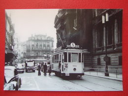 BELGIQUE - BRUXELLES - PHOTO 14.5 X 10 - TRAM - TRAMWAY  -  LIGNE  5  - - Public Transport (surface)