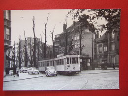 BELGIQUE - BRUXELLES - PHOTO 13.5 X 9.8 - TRAM - TRAMWAY - BUS -  LIGNE 91 - - Public Transport (surface)