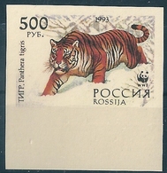 B2276 Russia Rossija Tiger 500 Rubel Colour Proof - Variétés & Curiosités
