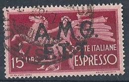 1947-48 TRIESTE A USATO ESPRESSO 15 LIRE - RR8322-3 - Exprespost