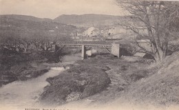 83 / SALERNES / PONT DE FER SUR LA BRESQUE - Salernes