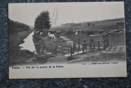 1449/ TUBIZE - Vue Sur La Prairie De La Falise - Tubeke