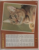 Almanach Des PTT/ Corréze/ Chat  Et Cheval / Oberthur/ Rennes / 1963       CAL396 - Grossformat : 1961-70