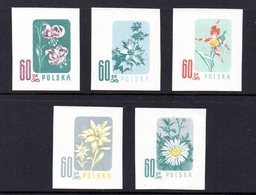 POLAND 1957 ENDANGERED FLOWERS COLOUR PROOFS NHM (NO GUM) Flowers Lily Edelweiss Sea Holly Carlina Acaulis Cypripedium - Proofs & Reprints