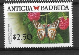 ANTIGUA & BARBUDA1988 Caribbean Butterflies    Phocides Pigmalion MNH - Barbuda (...-1981)