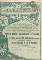 MINES DE FER DE ROUINA -ALGERIE- ACTION ILLUSTREE DE 250 FRS -ANNEE 1920 - Mijnen