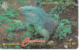 TARJETA DE ISLAS CAYMAN DE UNA IGUANA (13CCIB) - Kaaimaneilanden