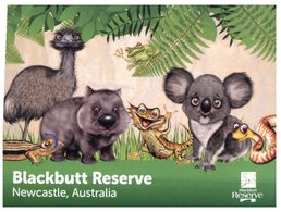 (900) Australia - NSW - Newcastle Blackbutt Reserve (animals) - Newcastle
