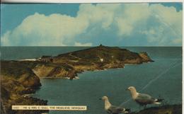 Newquay V. 1962  See Und Insel  (1247) - Newquay