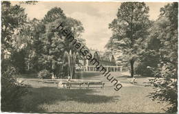 Werdau - Stadtpark - Foto-AK - VEB Bild Und Heimat Reichenbach Gel. 1964 - Werdau