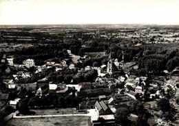 1 Cpsm Pleumartin - Vue Aérienne - La Plage Et L'église Au Centre De La Ville - Pleumartin