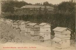 91 Igny   Les Ruchers Apiculture - Saint Just En Chaussee