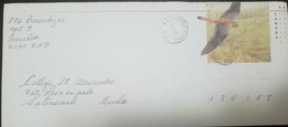 O) 1993 CANADA, BIRD- FALCONIDAE -AMERICAN KASTREL, POSTAL STATIONERY XF - 1953-.... Regering Van Elizabeth II