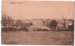 Carlsbourg - Panorama - Circulé - Edit. C. Wilmet, Hôtelier - Desaix - Paliseul