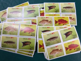 MACAU 1990 - FISHES  - 1 SET IN BLOCK OF 4, UM VF - Collections, Lots & Series