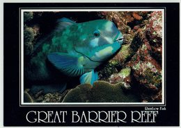 Australien, Great Barrier Reef - Great Barrier Reef