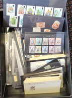 BOX Containing Miscellaneous GB, British Commonwealth & Foreign On Black Stock Cards, Noted Hong Kong 1948 Silver Weddin - Autres & Non Classés